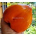 Оранжевое сердце от Анджелины (Orange Heart From Angelini)